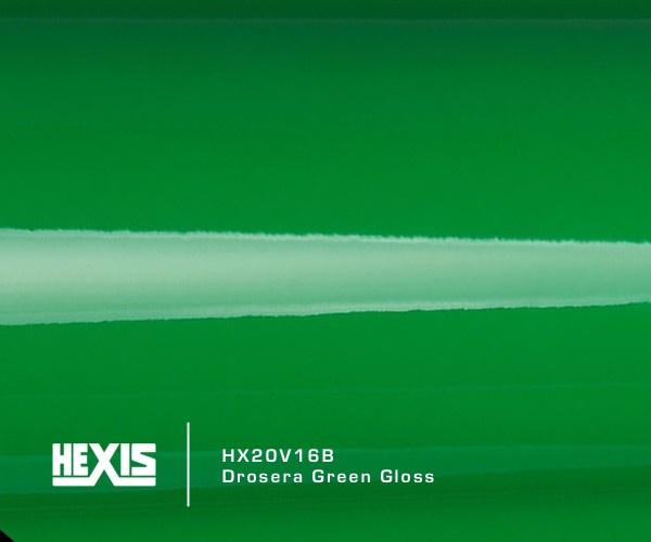 HEXIS® HX20V16B Drosera Green Gloss